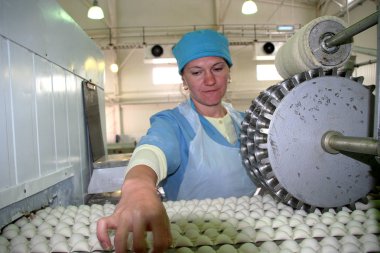 Fabrika gıda ürünleri doğal malzemelerle üretim için. Kolaylık yiyecek. Köfte, üretimini krep. Gıda ürünleri pişirme.