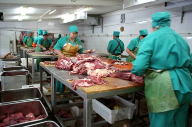 Odessa, Ukrayna - 7 Temmuz 2007: Fabrika gıda doğal malzemelerle üretim için. Kolaylık yiyecek. Köfte, üretimini krep. Kasap. Sığır kesim. Hareket bulanıklığı.