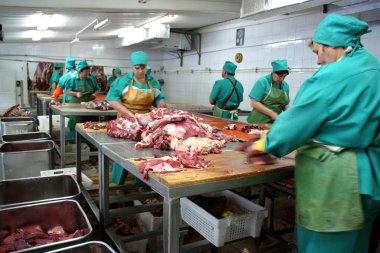 Odessa, Ukrayna - 7 Temmuz 2007: Fabrika gıda doğal malzemelerle üretim için. Kolaylık yiyecek. Köfte, üretimini krep. Kasap. Sığır kesim. Hareket bulanıklığı.