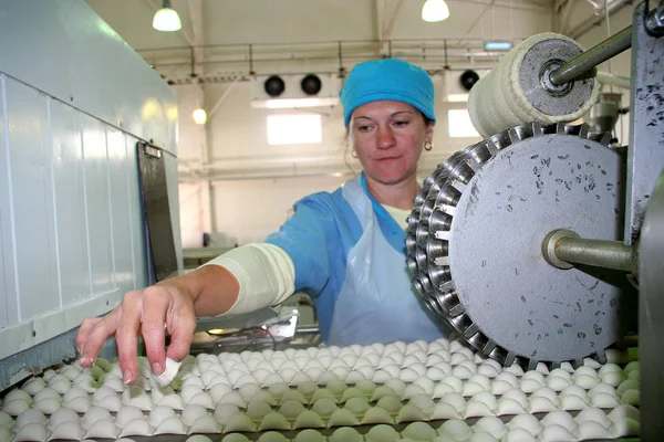 Fábrica Para Producción Productos Alimenticios Partir Ingredientes Naturales Comida Comida — Foto de Stock