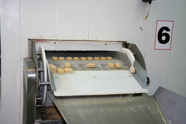 乌克兰敖德萨 2007年7月7日 生产天然配料食品的工厂 食物方便食品 煎饼的生产 准备灌装 运动模糊 — 图库照片