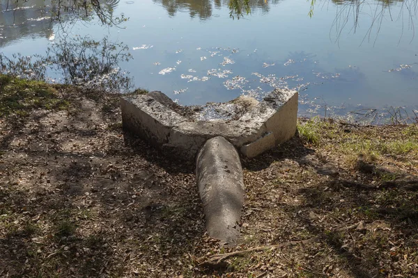 Болотные Водоросли Зеленые Модели Водорослей Воде Болото Органическим Загрязнением Сточных — стоковое фото