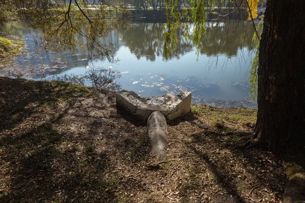 Болотные Водоросли Зеленые Модели Водорослей Воде Болото Органическим Загрязнением Сточных — стоковое фото