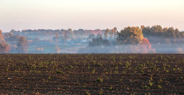 Pintoresco Paisaje Otoñal Niebla Niebla Mañana Otoño Paisaje Brillantes Colores — Foto de Stock