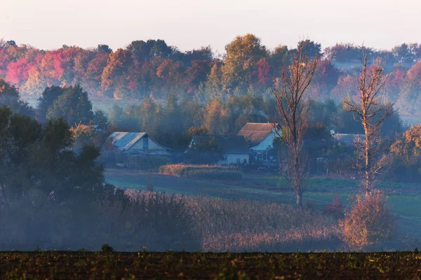Picturesque Autumn Landscape Fog Foggy Morning Autumn Landscape Bright Autumn — Stock Photo, Image