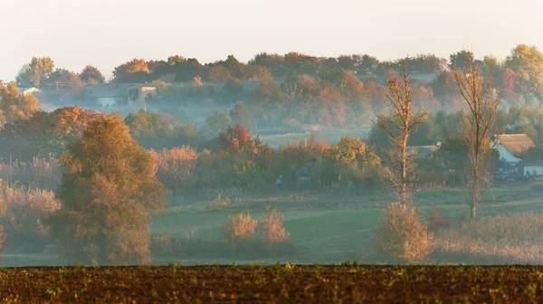 霧の中の美しい秋の風景 霧の朝の木の明るい紅葉の秋の風景 カレンダー グリーティング カード 背景の穏やかな霧の朝写真 — ストック写真