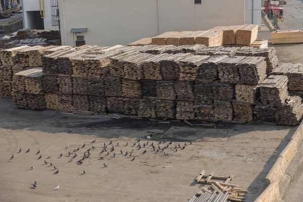 Holzplanken Stapeln Sich Liegeplatz Hafen Lager Zum Sägen Von Stapeln — Stockfoto