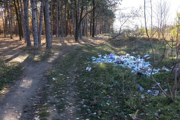 Śmieci Lesie Osób Które Nielegalnie Wyrzucane Śmieci Lasu Koncepcja Człowieka — Zdjęcie stockowe