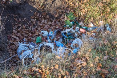 Orman çöpte. Yasadışı çöp orman atılmış insanlar. İnsan ve doğa kavramı. Doğada yasadışı çöplüğü. Çevre yolu ormandaki hiking yakınındaki çöp kirletici taburcu. Çöp kutusu