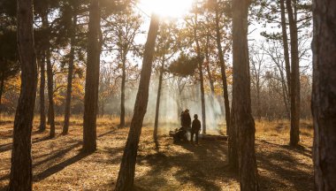 Odessa, Ukrayna Cirka 2018: Ormandaki şenlik ateşi. Şirket, sonbahar ormanda piknik aile et yemek pişirmek için dalları yangından kindles. Kuru iğne yapraklı orman yangın tehlikesi. Ormanda yangın