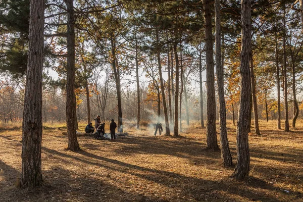 Oděsa Ukrajina Cirka 2018 Oheň Lese Společnost Rodina Pikniku Podzimním — Stock fotografie