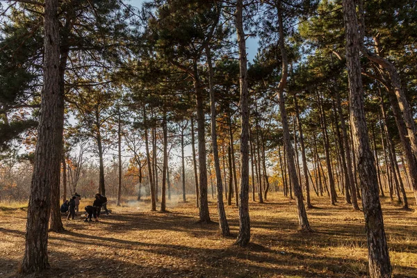 Odessa Ukraina Cirka 2018 Ognisko Lesie Firma Rodzinny Piknik Lesie — Zdjęcie stockowe