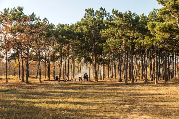 Odessa Ucrania Cirka 2018 Hoguera Bosque Compañía Familia Picnic Bosque — Foto de Stock