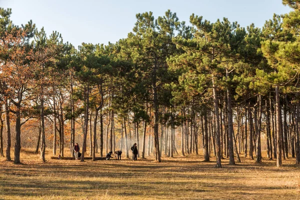 Odessa Ucrania Cirka 2018 Hoguera Bosque Compañía Familia Picnic Bosque —  Fotos de Stock