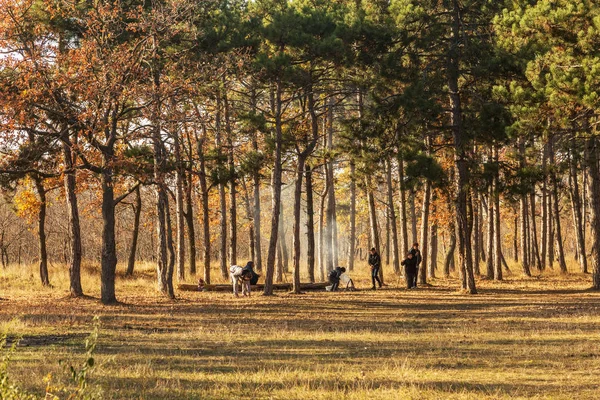 Odessa Ukraina Cirka 2018 Ognisko Lesie Firma Rodzinny Piknik Lesie — Zdjęcie stockowe