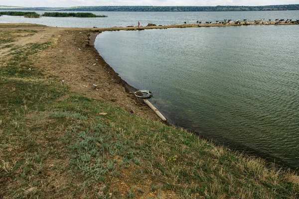 Anvelopele Auto Folosite Rămas Natură Vechea Anvelopă Inutilă Mașină Rămas — Fotografie, imagine de stoc