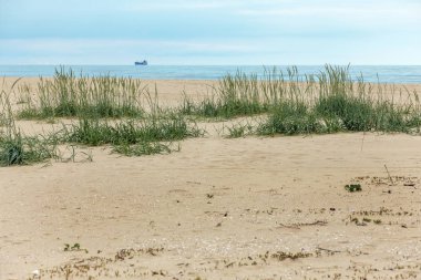 İnsanlar olmadan ıssız vahşi plaj. Güzel vahşi Plajı ile temiz turkuaz su.