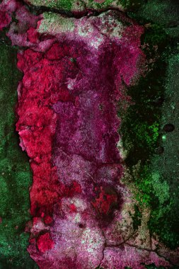 Alçı tuğla duvarın boş eski sanat dokusu. Yaprak dokusuyla boyanmış taş tuğla duvarın çatlaklarıyla kötü çizilmiş yüzey. Hasarlı alçıyla binanın ön cephesini ovaladım.