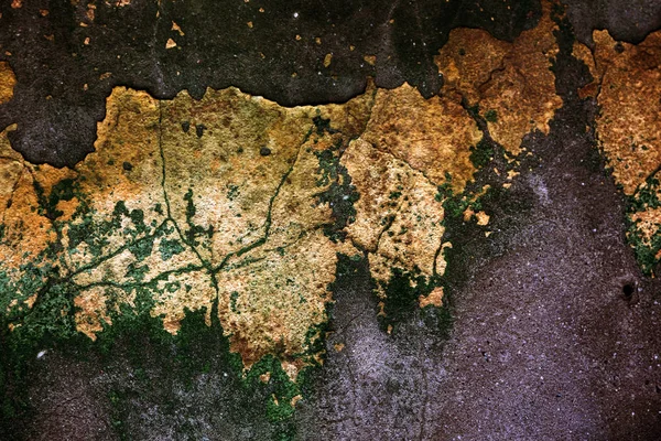 Alçı tuğla duvarın boş eski sanat dokusu. Yaprak dokusuyla boyanmış taş tuğla duvarın çatlaklarıyla kötü çizilmiş yüzey. Hasarlı alçıyla binanın ön cephesini ovaladım.