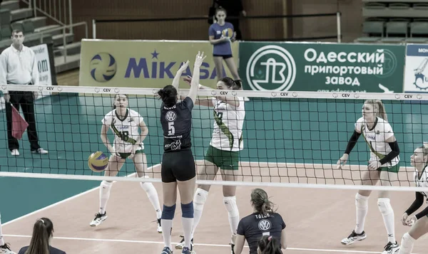 Odessa Ucrania Noviembre 2018 2019 Cev Voleibol Cup Mujeres 16ª — Foto de Stock