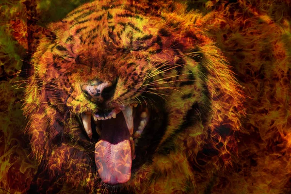 Retrato Fantástico Tigre Siberiano Bengala Chamas Tigre Fogo Calendário Chinês — Fotografia de Stock