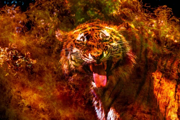 Fantastic portrait of a Bengal Siberian tiger on fire. Fire tiger of Chinese calendar. Postcard of the traditional Chinese New Year, Year of fiery red tiger. Background greeting card Happy New Year