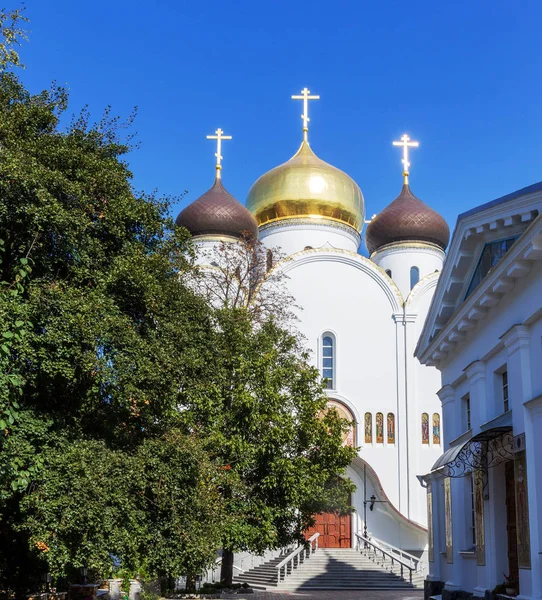 Ukrainian Orthodox Church Moscow Patriarch Holy Dormition Odessa Patriarchal Monastery — Stock Photo, Image