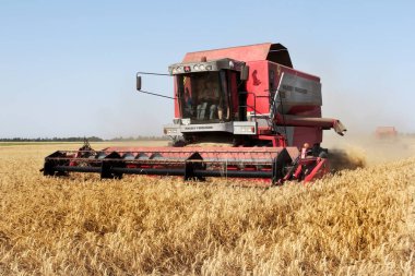 Odessa, Ukrayna - 14 Temmuz: Buğday saman toz havada temiz Modern biçerdöverler ve traktörler. Hasat zamanı Ukrayna 14 Temmuz 2011