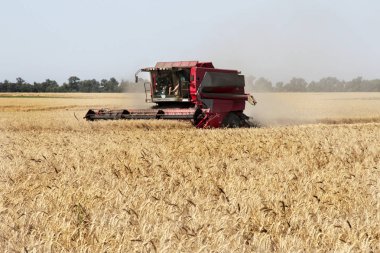 Odessa, Ukrayna - 14 Temmuz: Buğday saman toz havada temiz Modern biçerdöverler ve traktörler. Hasat zamanı Ukrayna 14 Temmuz 2011