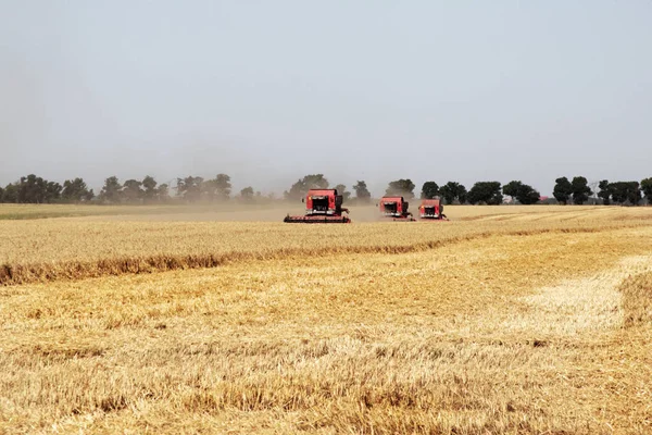 Odessa Ukraine July Modern Combine Harvesters Tractors Clean Wheat Straw — Stock Photo, Image