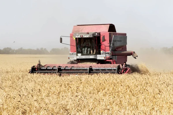 Odessa Ukraine July Modern Combine Harvesters Tractors Clean Wheat Straw — Stock Photo, Image