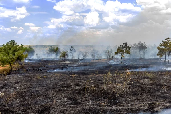 Skogsbränder Och Vind Torka Förstör Helt Skogen Och Stäppen Svår — Stockfoto