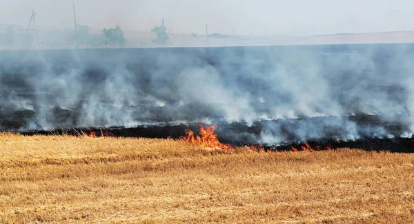 Πυρκαγιές Δασών Και Της Στέπας Και Ξηρός Άνεμος Εντελώς Καταστρέψει — Φωτογραφία Αρχείου