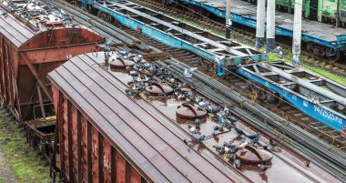 Odessa, Ukrayna - 12 Ekim 2016: Şube istasyondaki bir yük treni. Demiryolu taşımacılığı. Yük. Demiryolu Silo tahıl ve Mısır ile. Bir sürü aç güvercinlerin silo tahıl kapaklı