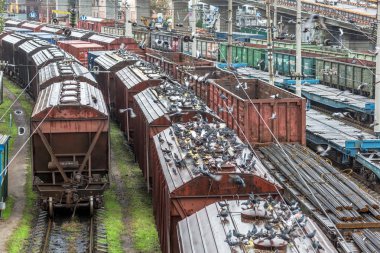Odessa, Ukrayna - 12 Ekim 2016: Şube istasyondaki bir yük treni. Demiryolu taşımacılığı. Yük. Demiryolu Silo tahıl ve Mısır ile. Bir sürü aç güvercinlerin silo tahıl kapaklı