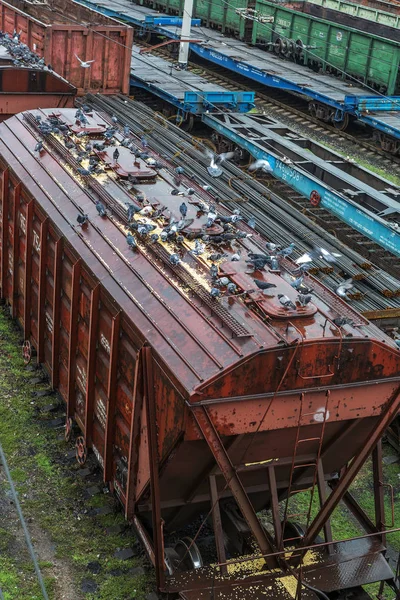 Odessa Ucrania Octubre 2016 Tren Carga Estación Sucursal Transporte Ferroviario —  Fotos de Stock