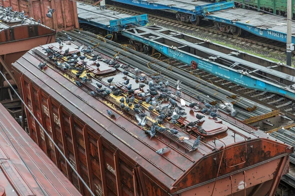 Odessa Ukraina Października 2016 Pociąg Towarowy Stacji Oddziału Transport Kolejowy — Zdjęcie stockowe