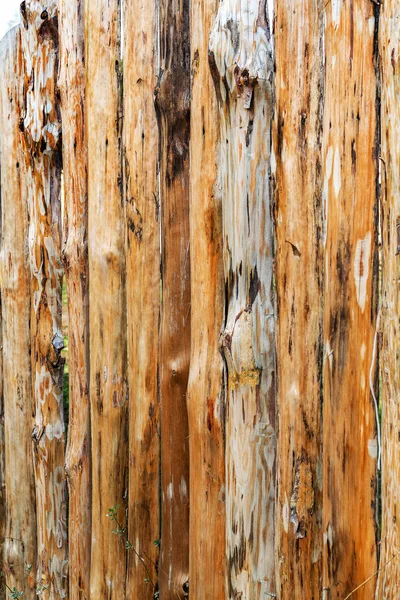 Деревянный Забор Свежей Сосны Ель Круглые Бревна Стены Двери Деревянного — стоковое фото