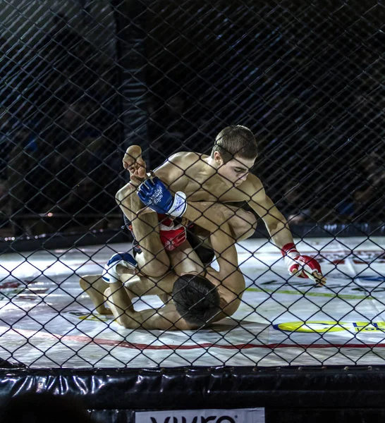 Odessa Ucrânia Dezembro Lutadores Artes Marciais Mistas Mma Competem Cela — Fotografia de Stock