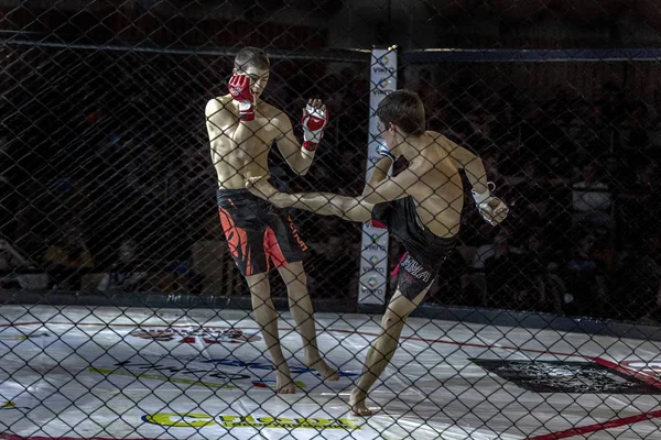 Odessa Ucrânia Dezembro Lutadores Artes Marciais Mistas Mma Competem Cela — Fotografia de Stock