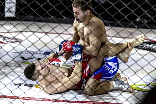 Odessa, Ukrayna - 13 Aralık: Atletizm Mma, karışık dövüş sanatları savaşçı hücrede rekabet neden yumruk atıyor ve başladı. Dramatik an savaş, 13 Aralık 2014 Odessa, Ukrayna