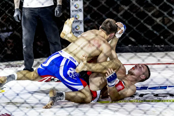 Odessa, Ukrayna - 13 Aralık: Atletizm Mma, karışık dövüş sanatları savaşçı hücrede rekabet neden yumruk atıyor ve başladı. Dramatik an savaş, 13 Aralık 2014 Odessa, Ukrayna