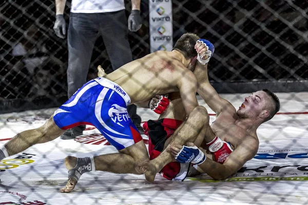 Odessa, Ukrayna - 13 Aralık: Atletizm Mma, karışık dövüş sanatları savaşçı hücrede rekabet neden yumruk atıyor ve başladı. Dramatik an savaş, 13 Aralık 2014 Odessa, Ukrayna