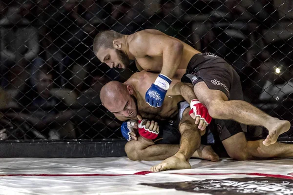 Odessa, Ukrayna - 13 Aralık: Atletizm Mma, karışık dövüş sanatları savaşçı hücrede rekabet neden yumruk atıyor ve başladı. Dramatik an savaş, 13 Aralık 2014 Odessa, Ukrayna