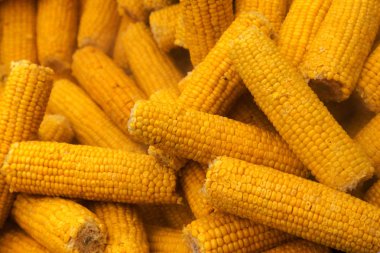 Reklam menü için yaratıcı arka plan: soyulmuş koçanı haşlanmış olgun sarı Mısır Caddesi üzerinde büyük kazan içinde çift için haşlanmış. güzel resim reklam menü sağlıklı diyet yalın gıdalar için. Seçici odak