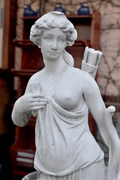 Busto Scultoreo Classiche Amazzoni Antiche Donne Topless Una Faretra Frecce — Foto Stock