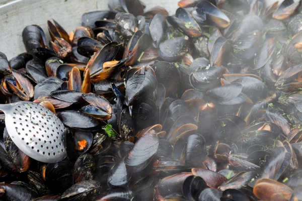 Creative background for advertising menu: Sea blue shells of mussels are cooked in large steam boiler. beautiful picture for an advertising menu of healthy dietary seafood dishes. Selective focus