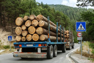Varna, Bulgaristan-31 Temmuz 2016: büyük endüstriyel ahşap römork dağ road arabaya taze Boyutlanmış günlükleri taşımaktadır. Tedarik ve lojistik iş çam keresteden endüstriyel ahşap