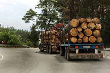 Varna, Bulgaristan-31 Temmuz 2016: büyük endüstriyel ahşap römork dağ road arabaya taze Boyutlanmış günlükleri taşımaktadır. Tedarik ve lojistik iş çam keresteden endüstriyel ahşap