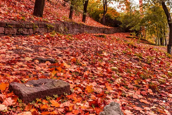 Bulutlu Bir Günde Pitoresk Terkedilmiş Botanik Parkı Parça Eğrileri Seçici — Stok fotoğraf